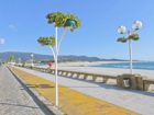 Viana do Castelo